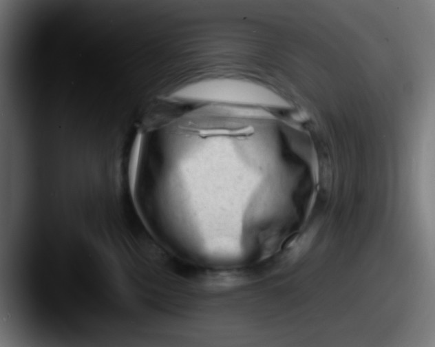 X0000087620378200705181317
