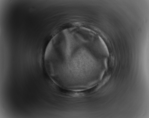 X0000087620379200705181317