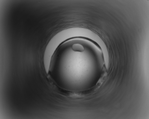 X0000087620380200705181317