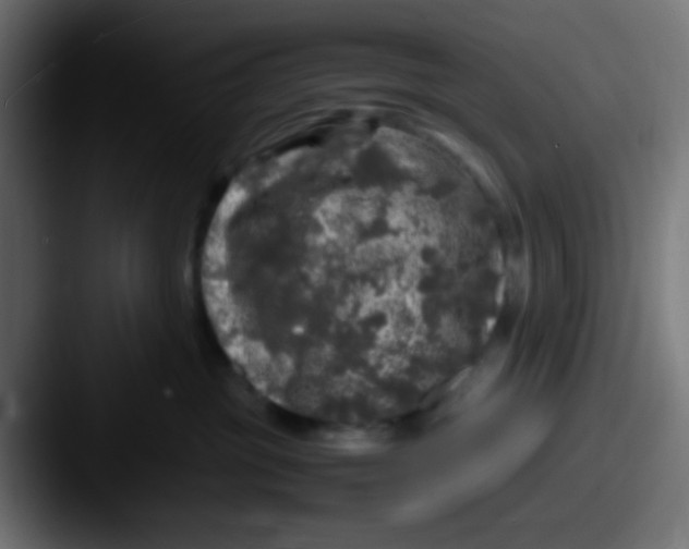 X0000087620381200705181317