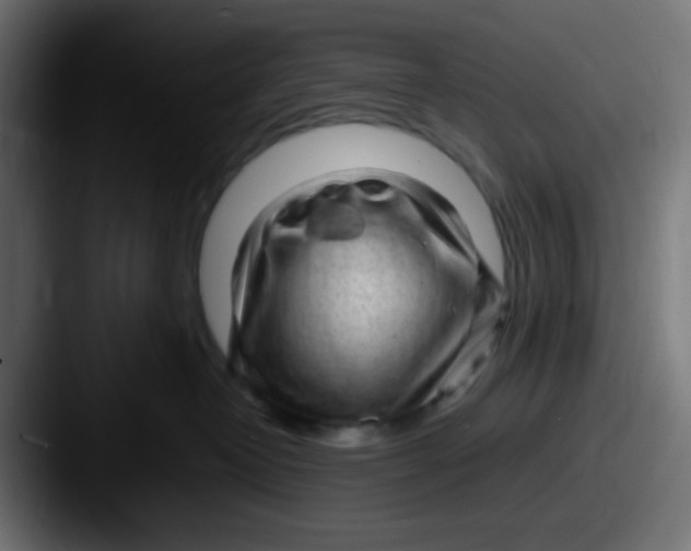 X0000087620382200705181317