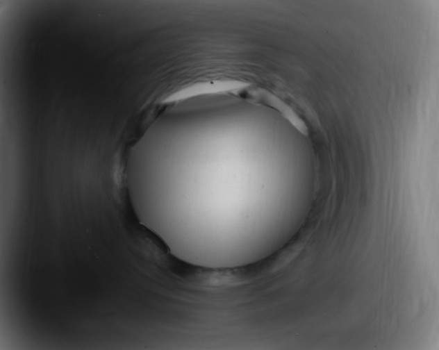 X0000087620384200705181317