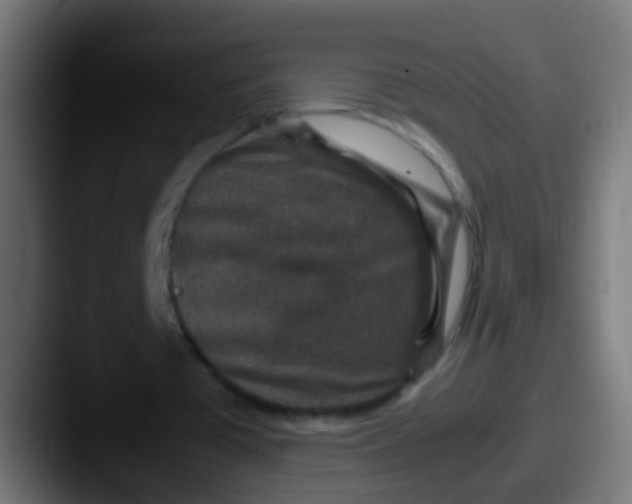 X0000087620385200705181317
