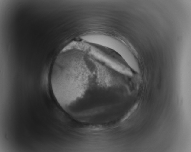X0000087620386200705181317