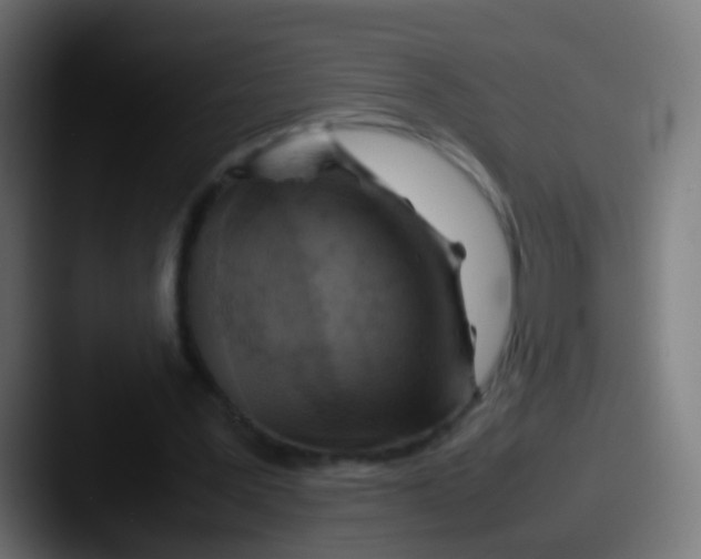 X0000087620387200705181317