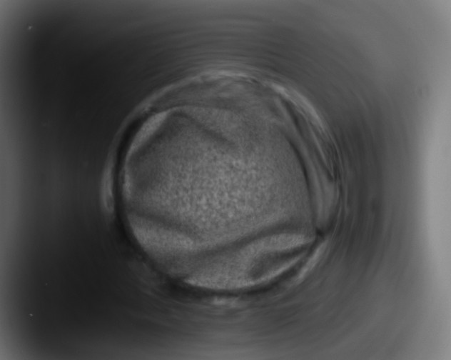 X0000087620388200705181317
