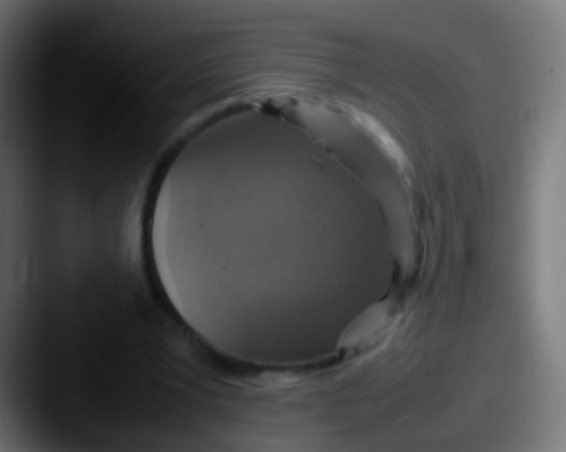 X0000087620391200705181317