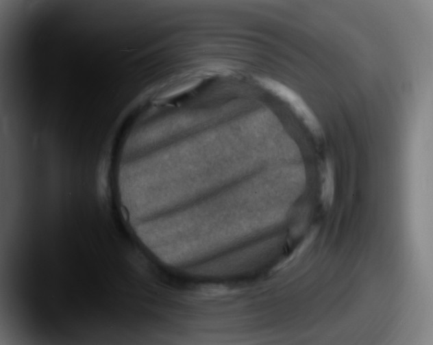 X0000087620392200705181317