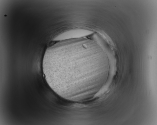 X0000087620393200705181317