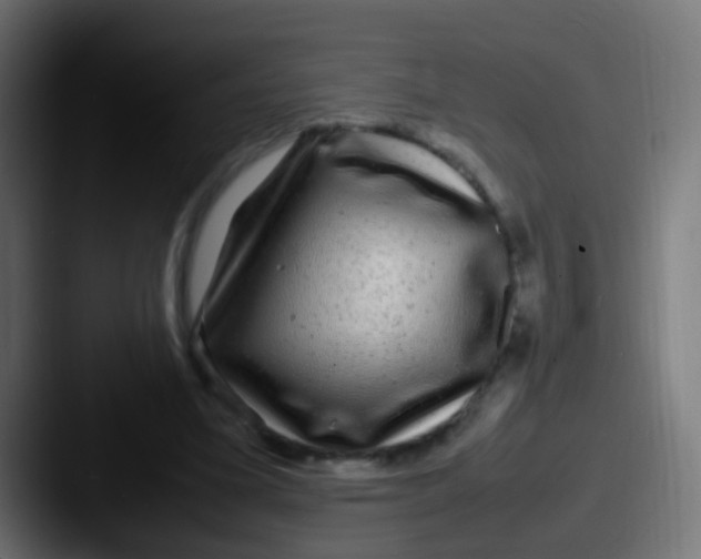 X0000087620395200705181317