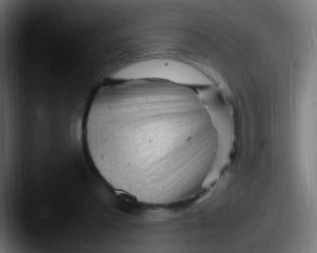 X0000087620397200705181317
