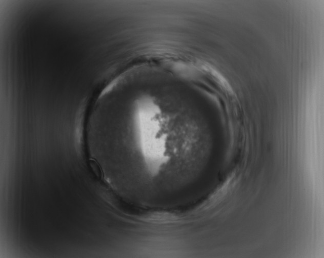 X0000087620399200705181317