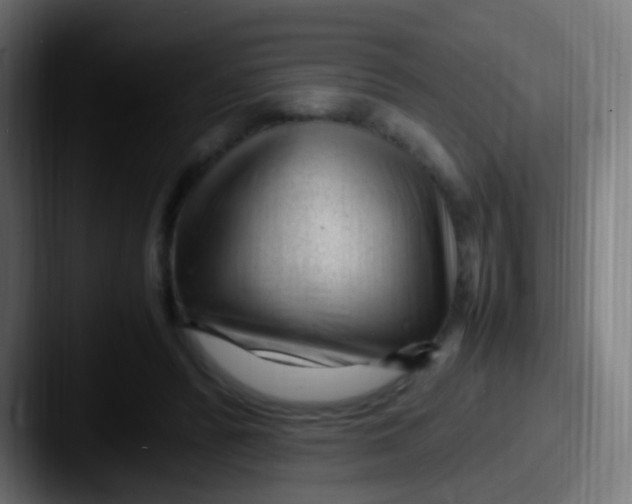 X0000087620400200705181317