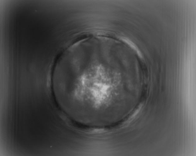 X0000087620401200705181317