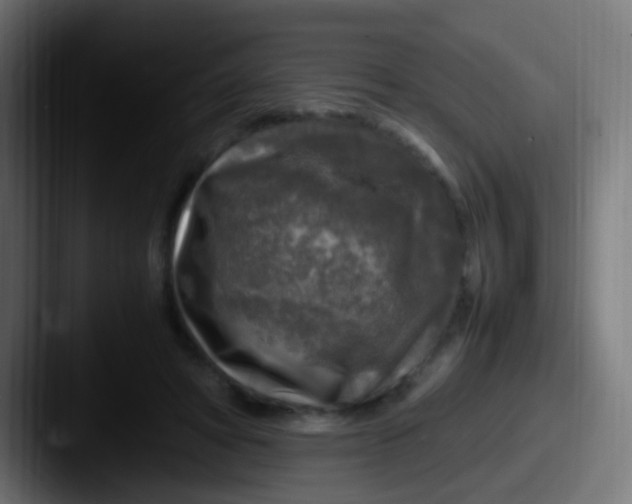 X0000087620402200705181316