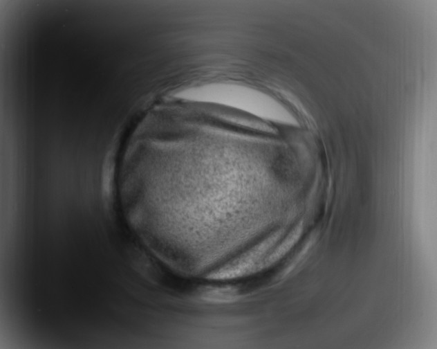 X0000087620403200705181316