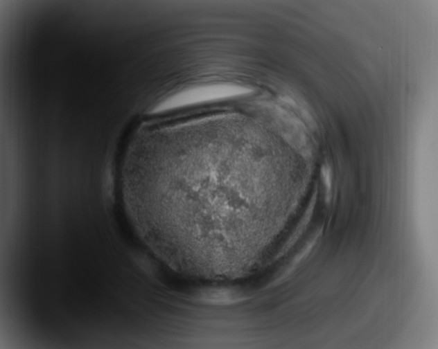 X0000087620404200705181316