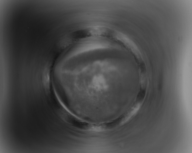 X0000087620405200705181316