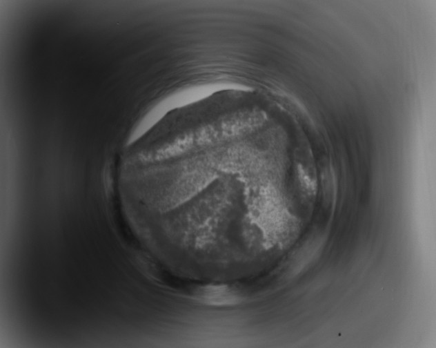 X0000087620406200705181316