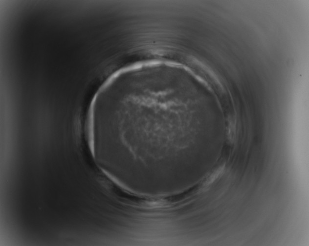 X0000087620410200705181316