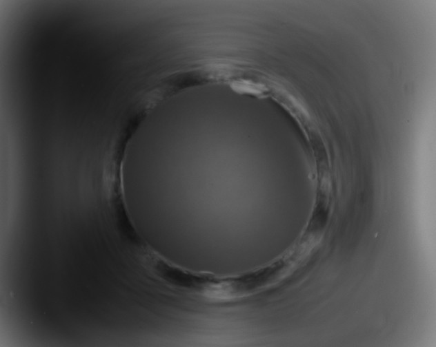 X0000087620411200705181316