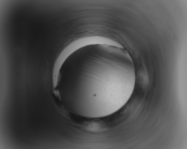 X0000087620412200705181316