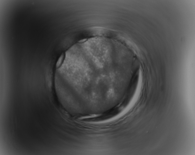 X0000087620413200705181316