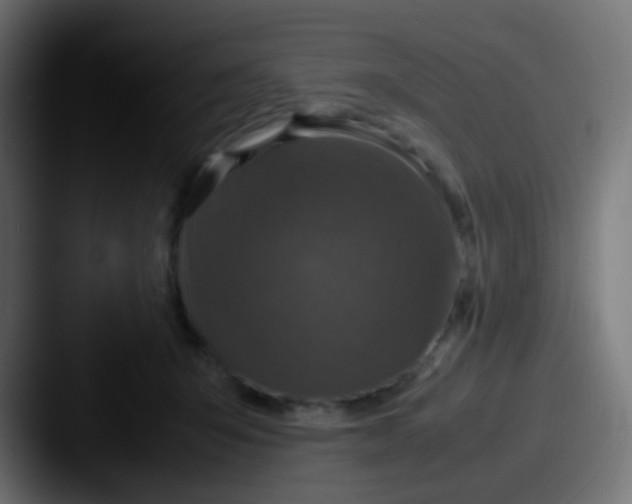 X0000087620415200705181316