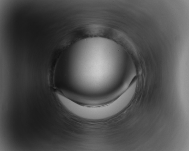 X0000087620416200705181316