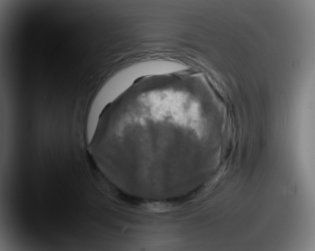 X0000087620417200705181316