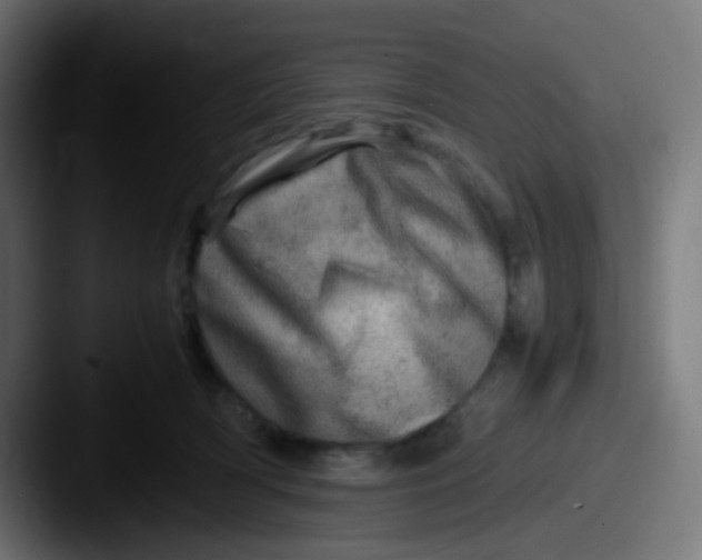 X0000087620418200705181316
