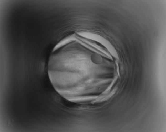 X0000087620420200705181316
