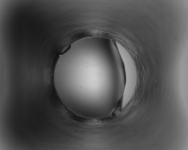 X0000087620421200705181316