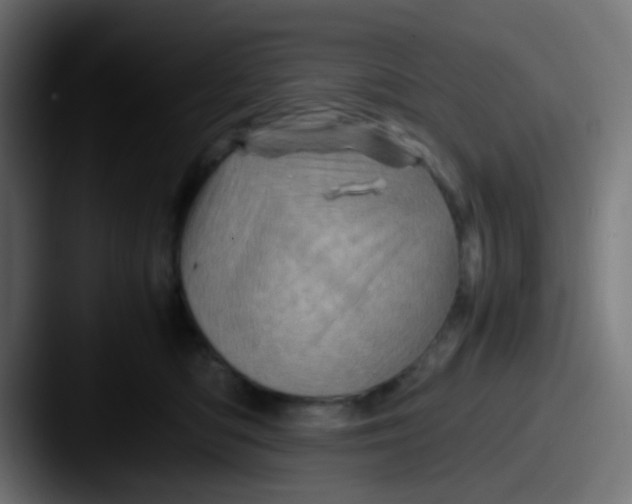 X0000087620422200705181316