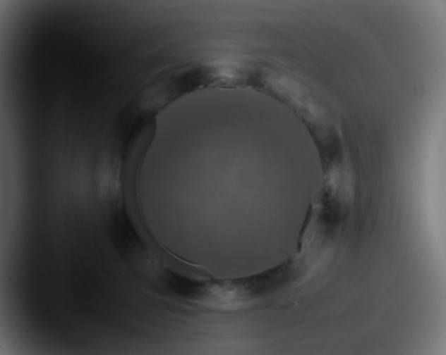 X0000087620423200705181316