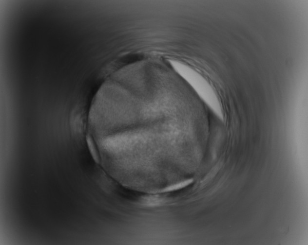 X0000087620425200705181316