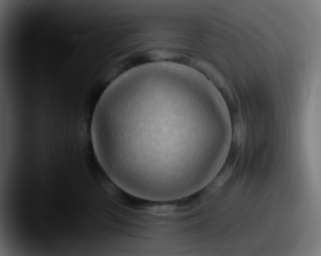 X0000087620426200705181316