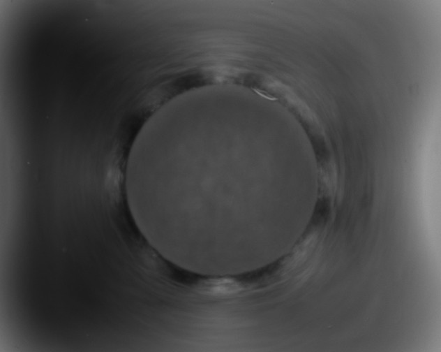 X0000087620427200705181316