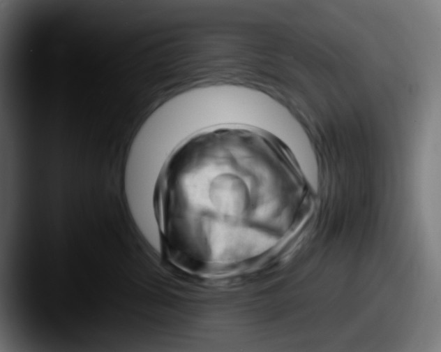 X0000087620428200705181316