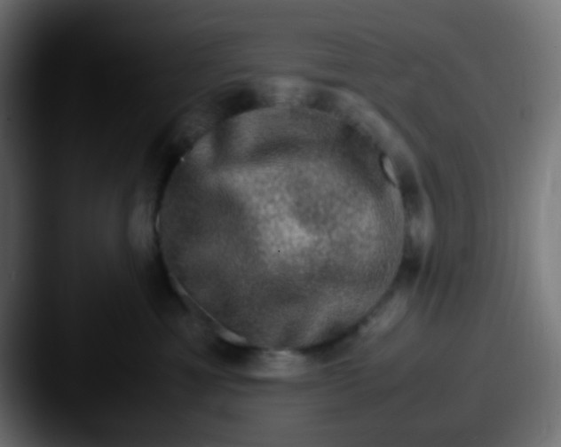 X0000087620429200705181316