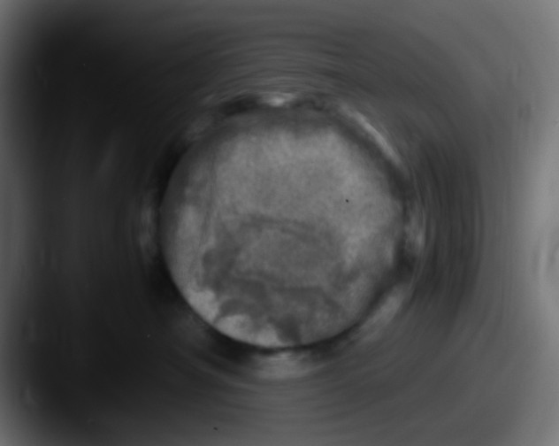 X0000087620430200705181316
