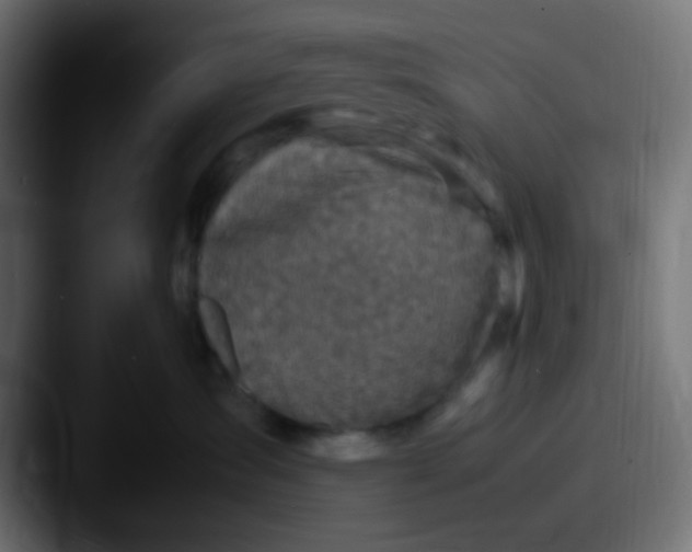 X0000087620431200705181316