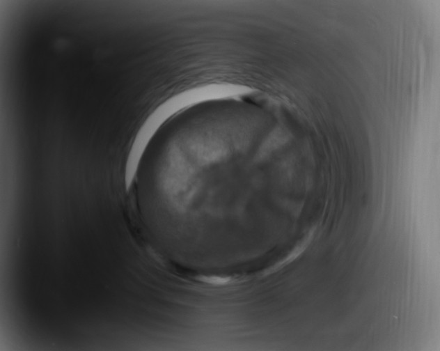 X0000087620432200705181316