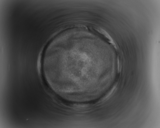 X0000087620435200705181316