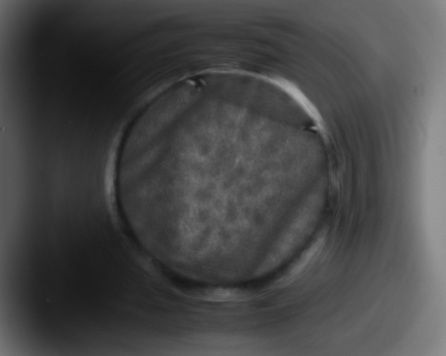 X0000087620437200705181316