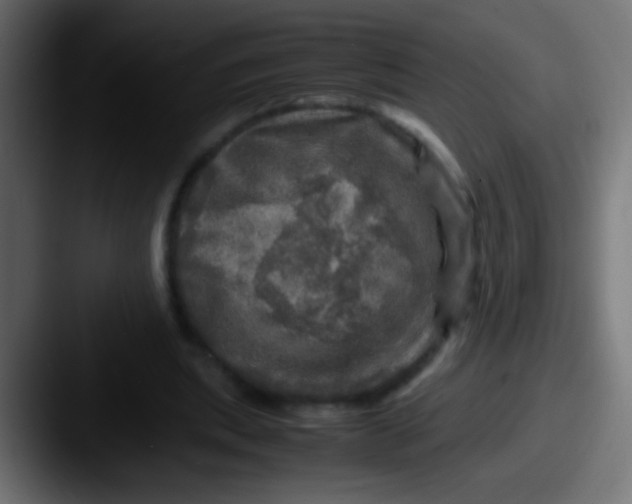 X0000087620439200705181316