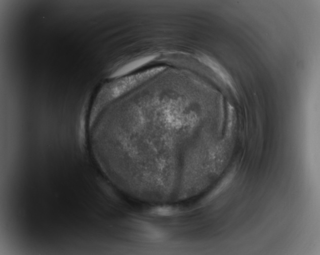 X0000087620441200705181316
