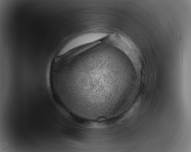 X0000087620442200705181316