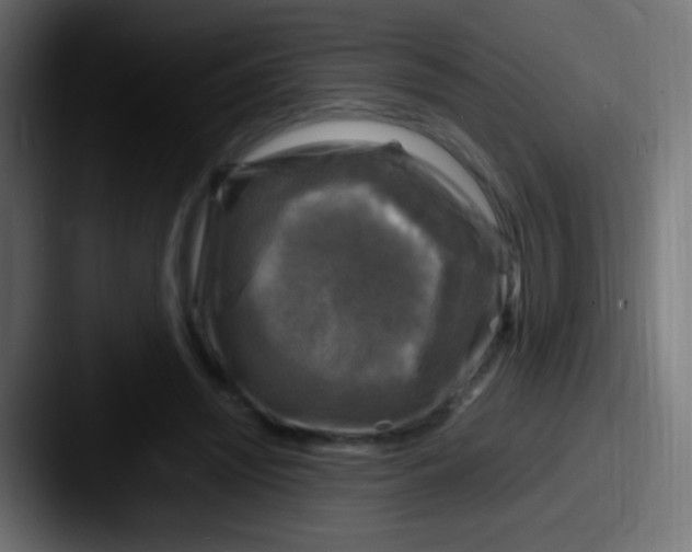 X0000087620444200705181316