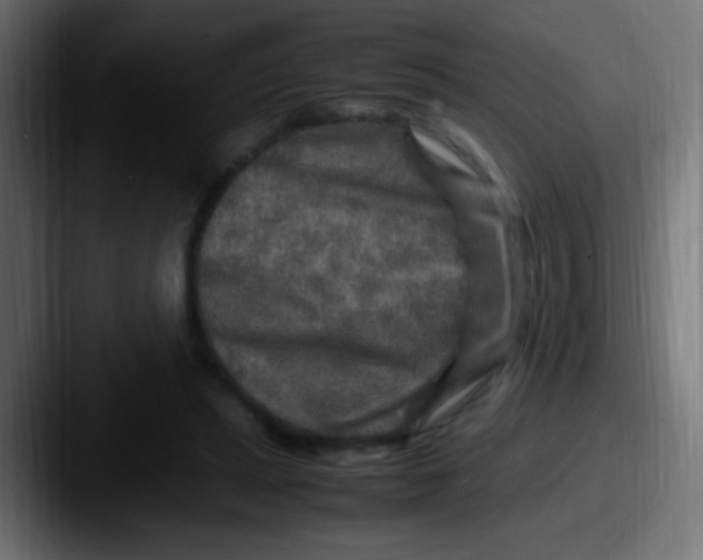X0000087620447200705181316